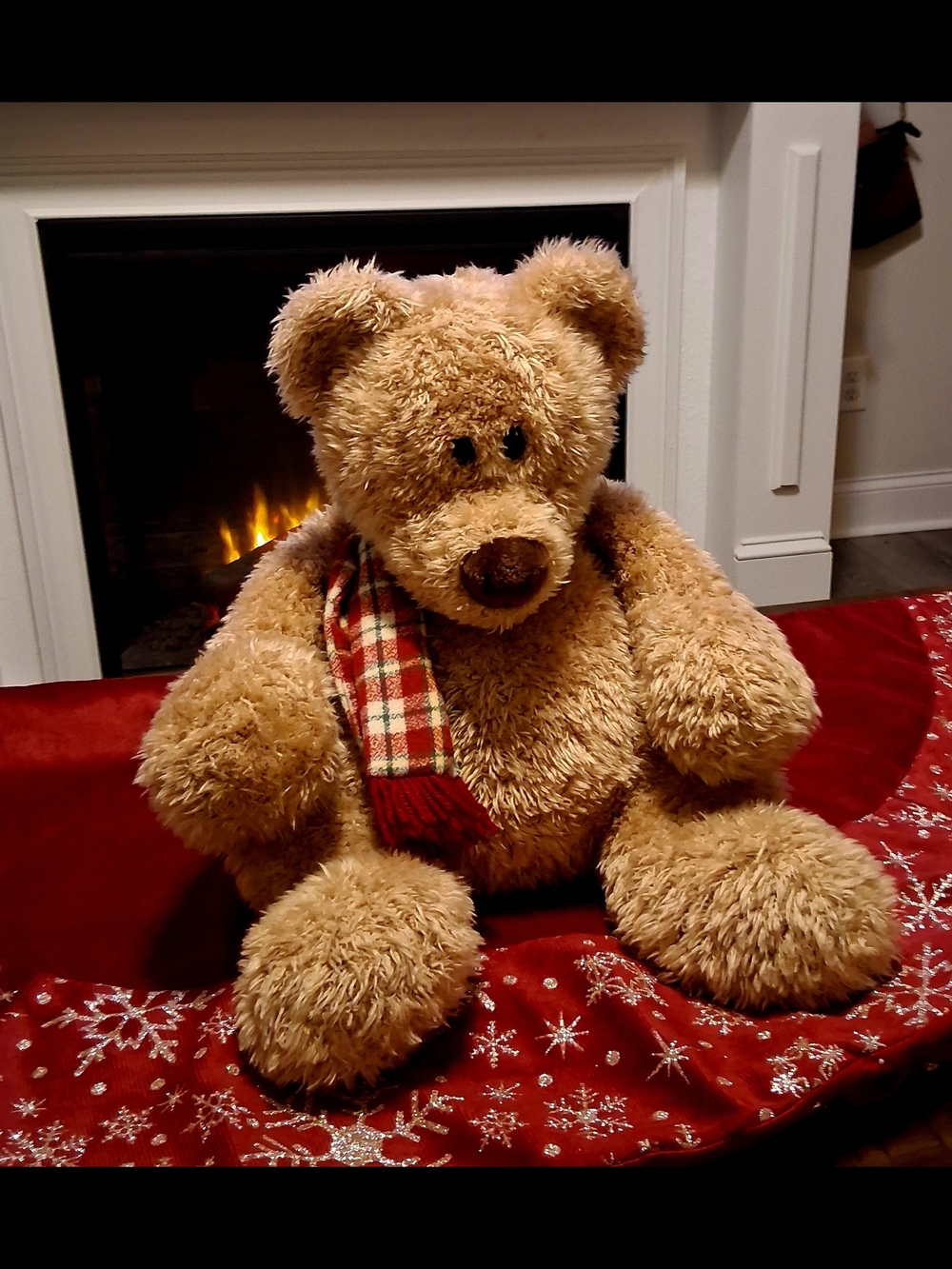 Gund Winter Bear